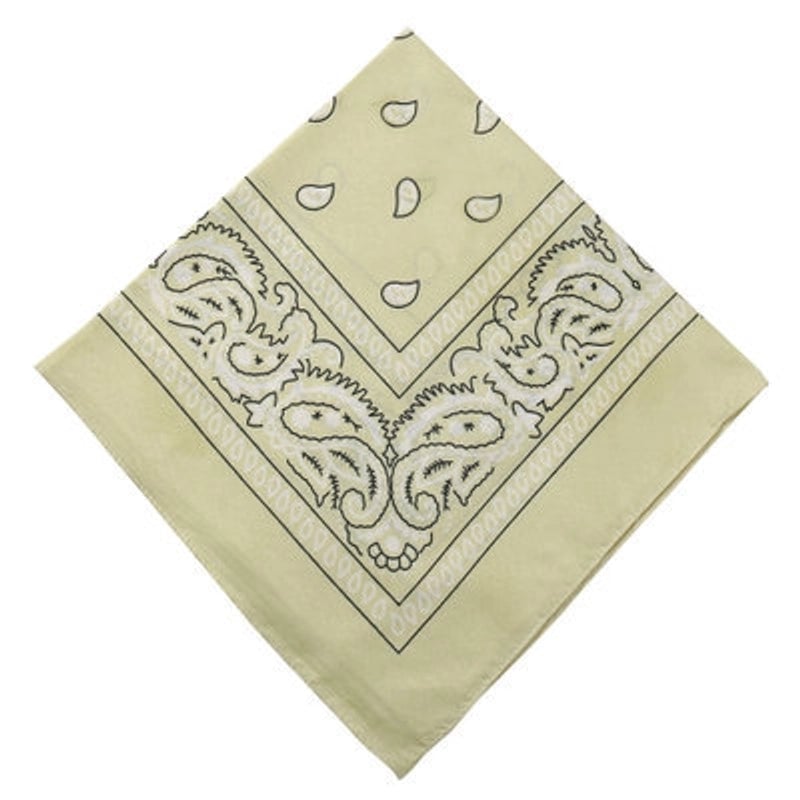 Unisex Classic Style Printing Eaveless Kerchief