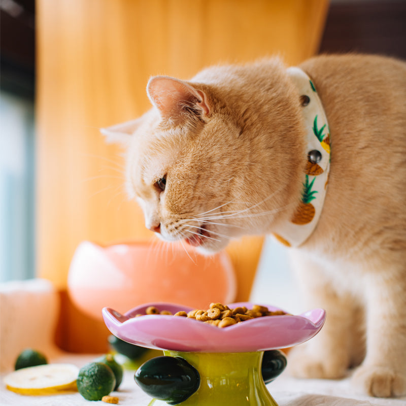 Flower Shape Cat Bowl