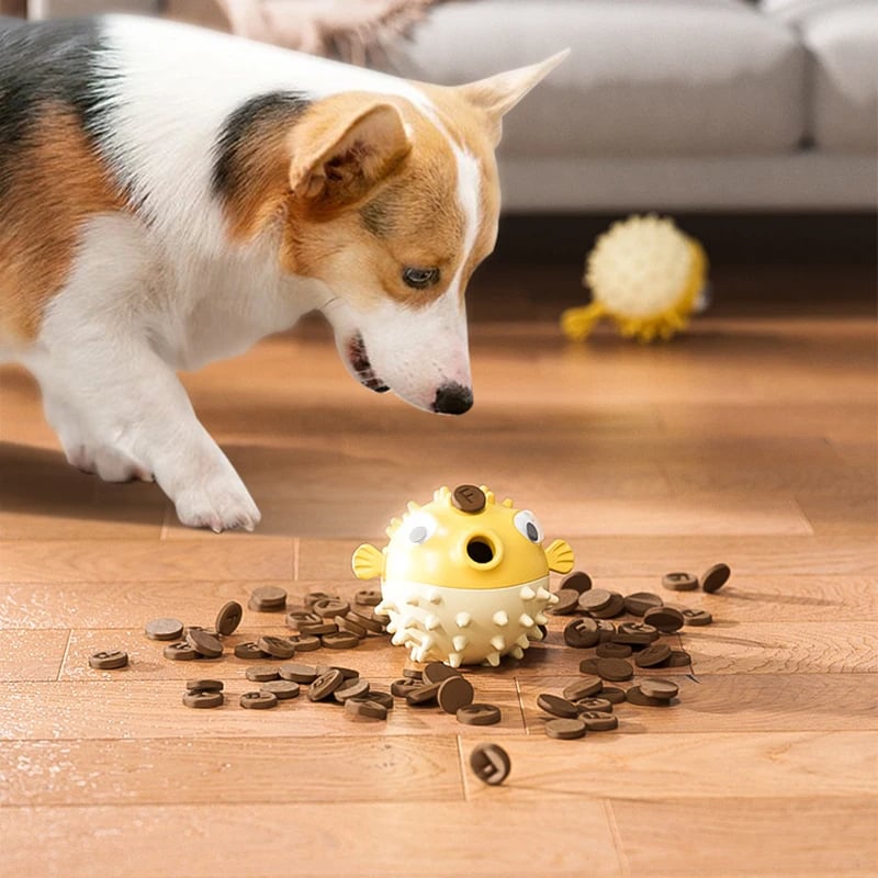 Dog Clownfish Chewing Toy 🐶🐕