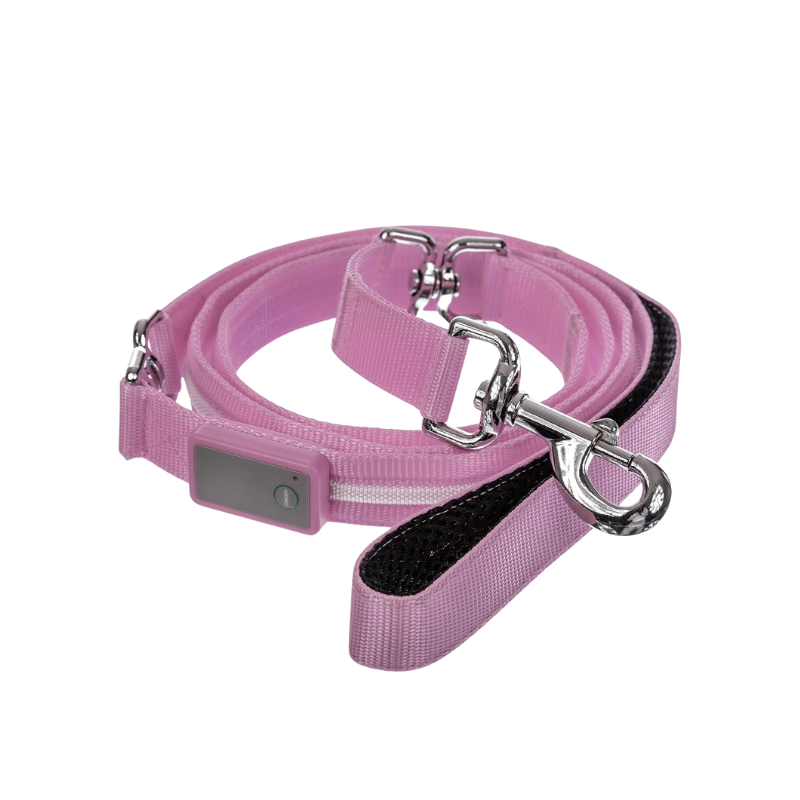 Pet Leash With USB Lighting