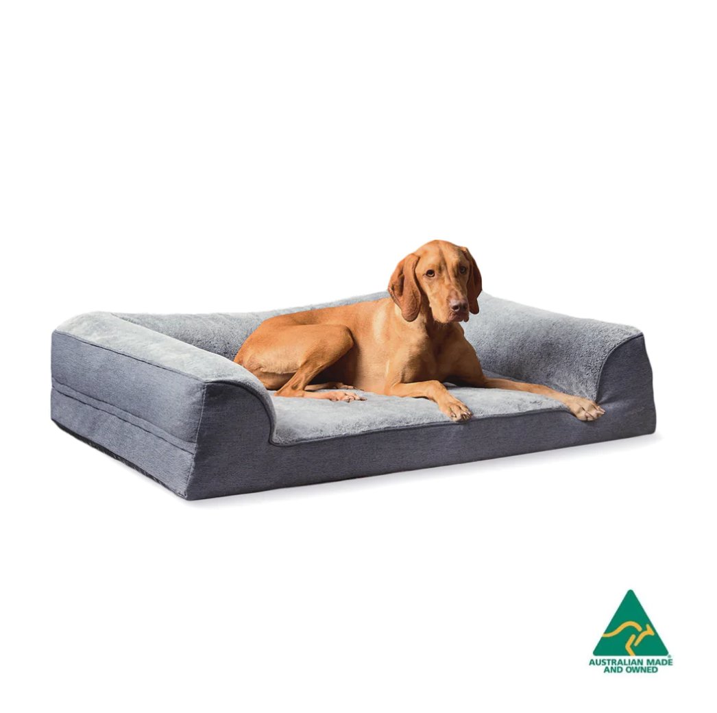 Ortho Dream Sofa - Chinchilla (2 Sizes)