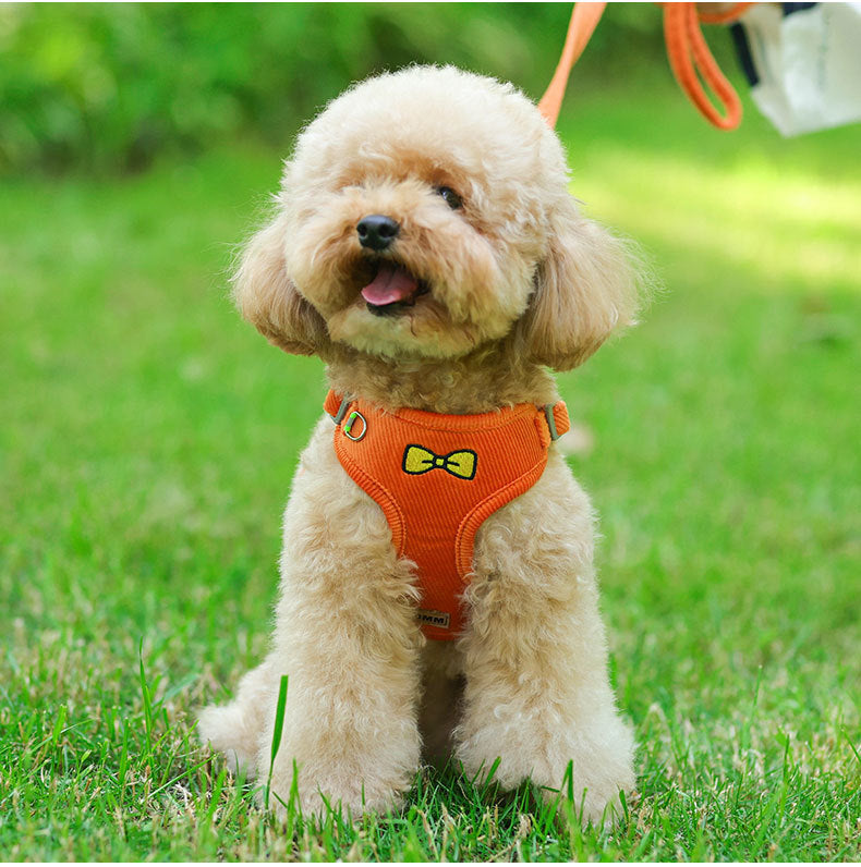 Bow Printed Soft Dog Harness&Leash