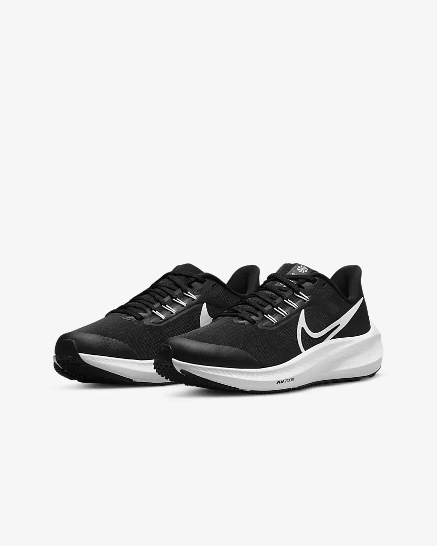 Nike Air Zoom Pegasus 39