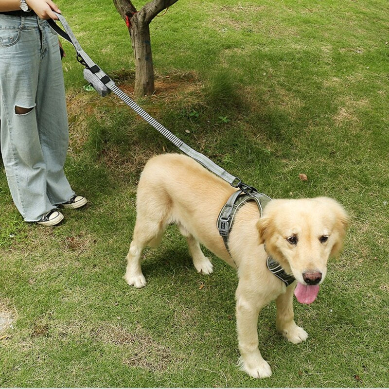 Portable Pet Puppy Pick Up Poop Bag