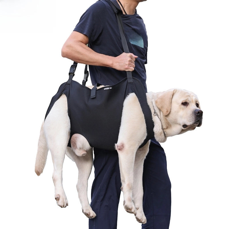 New Dog Auxiliary Belt Elderly Dog Disabled Dog Rehabilitation Exercise Belt Upstairs Assistance Belt