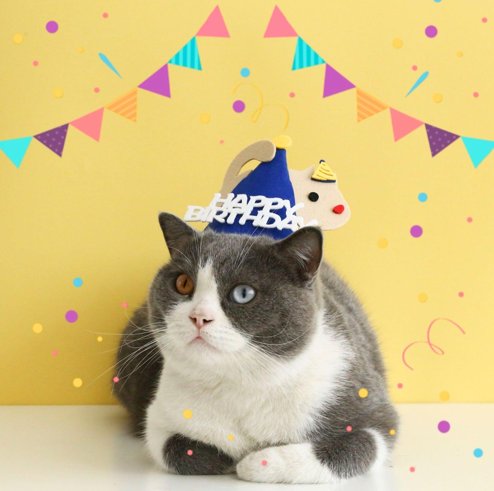 Animal Paw-ty Gear: Adorable Birthday Hat for Pets