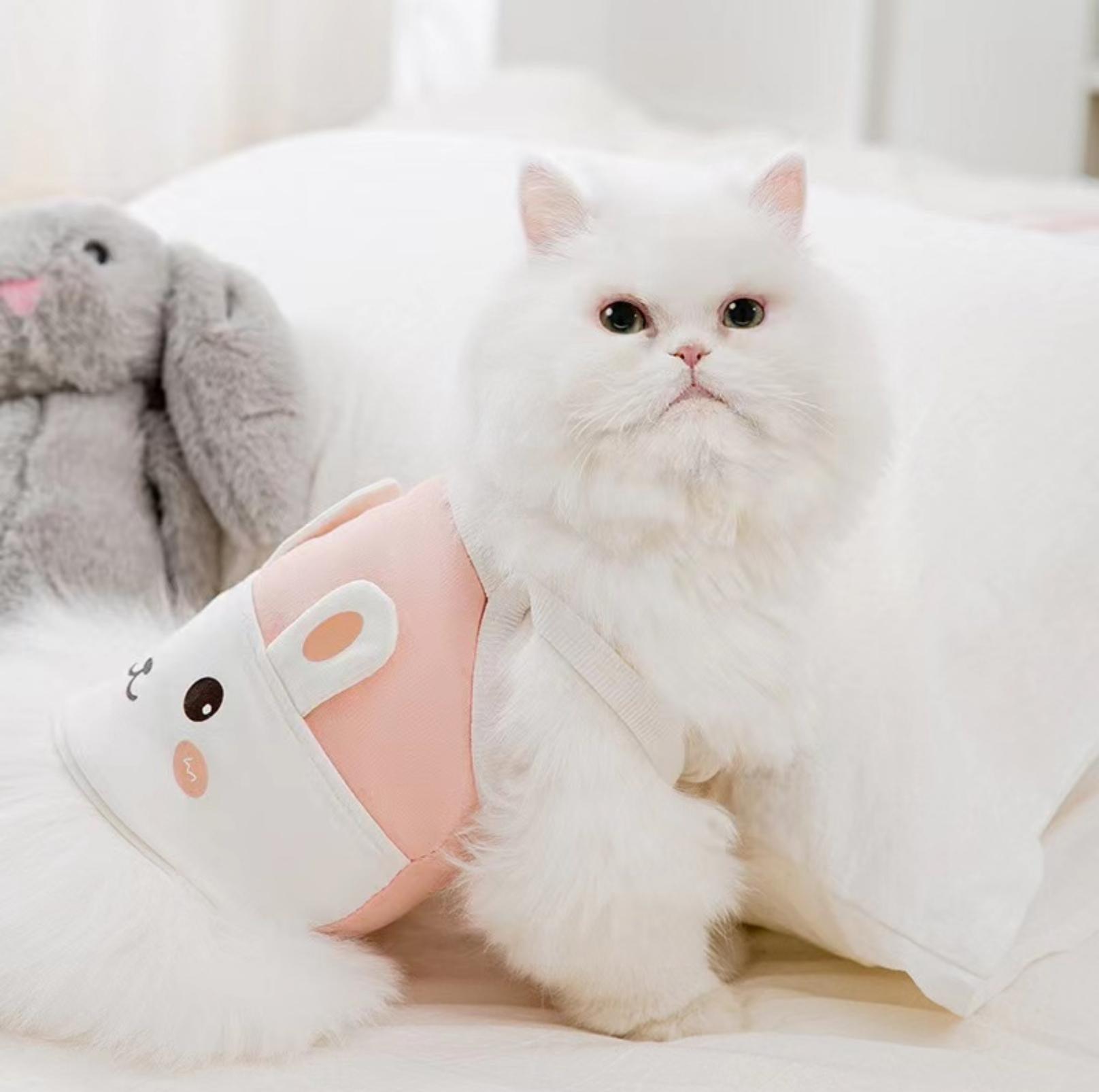 Adorable Bunny-Themed Pet Summer Vest
