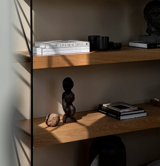 Zet Storage System. 60in. Back Panel and Magazine Shelf