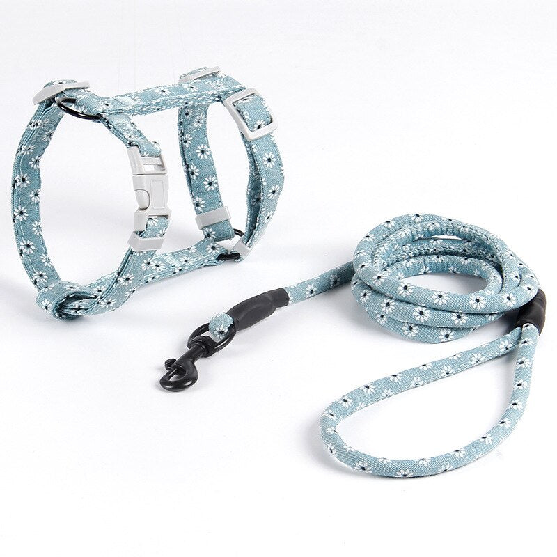 Traction Rope Harness And Leash Set