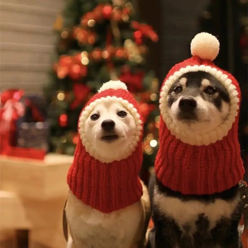 Winter Pet Christmas Hat Warmer