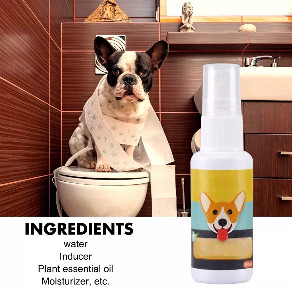 Pet Potty Here Training Spray