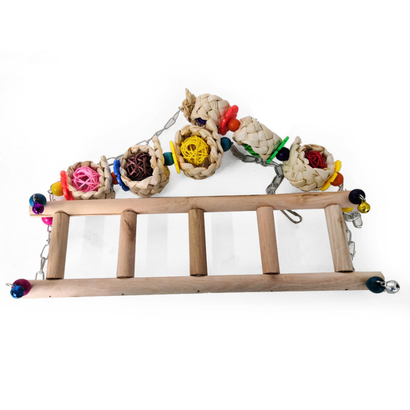 Parrot Swing Perch Ladder