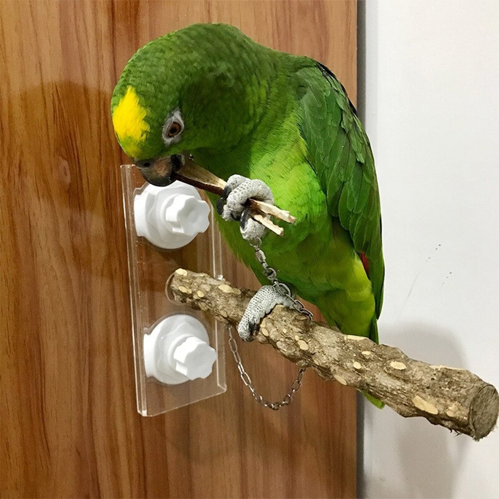 Pet Birds Parrot Perches Toys