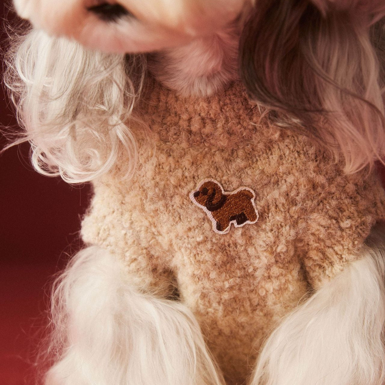 Dog Pattern Ear Decor Warm Dog Sweater