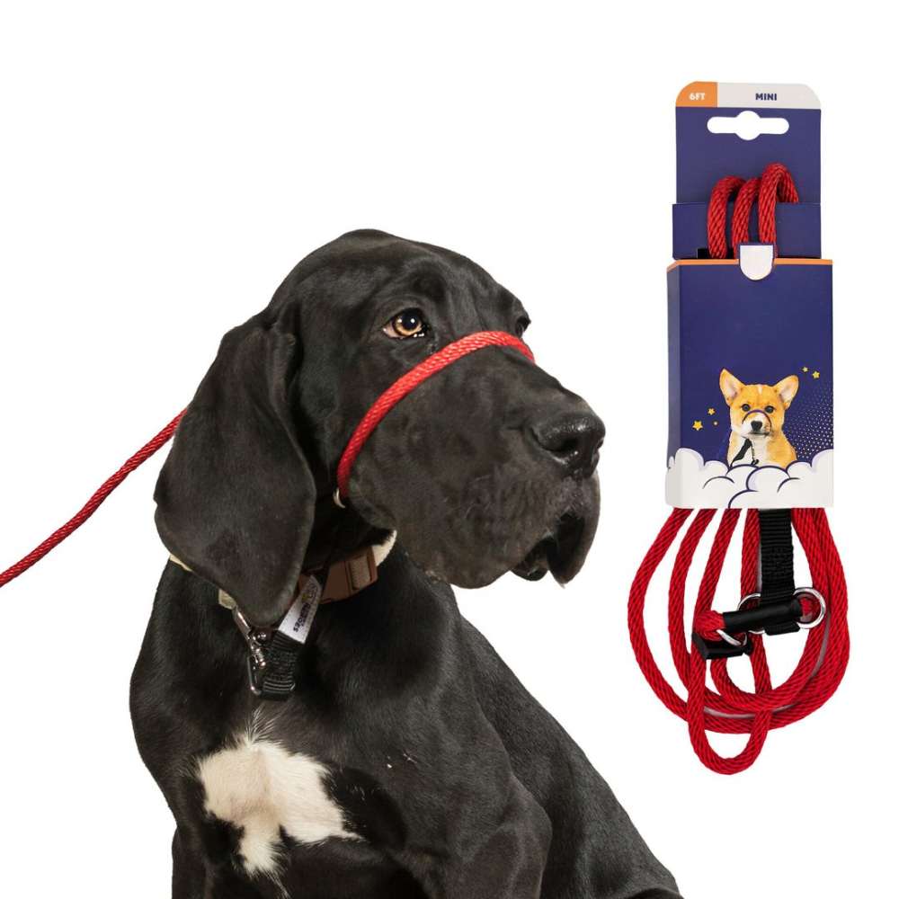 Original Transitional Leash