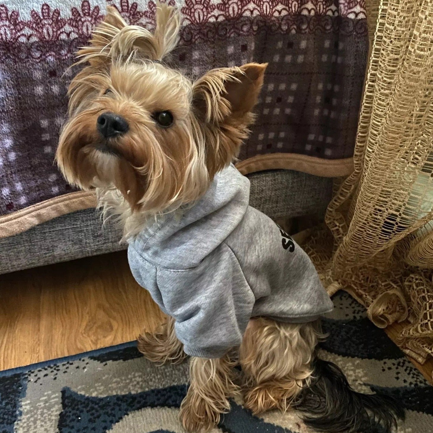 Security Printed Dog Cat Hoodies