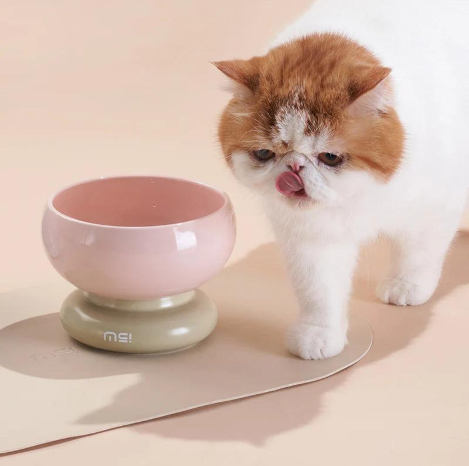 Makesure CALORIE Pet Bowl - Cat and Small Dog Bowl