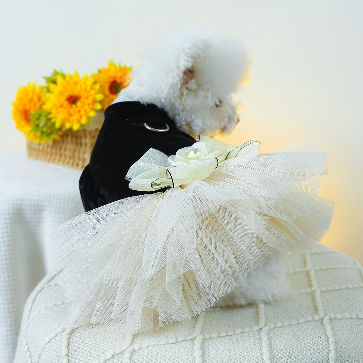 Lace Dog Cat Princess Wedding Dress