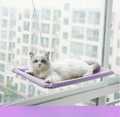 Window Still Bed