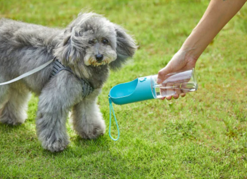 Portable Pet Water Bottle - 400ml