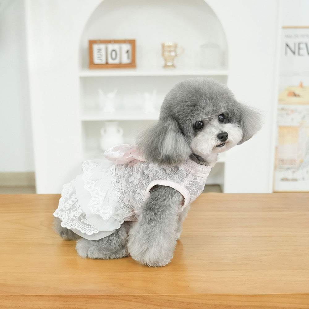 Sweet Lace Design Bow Dog Cat Dress