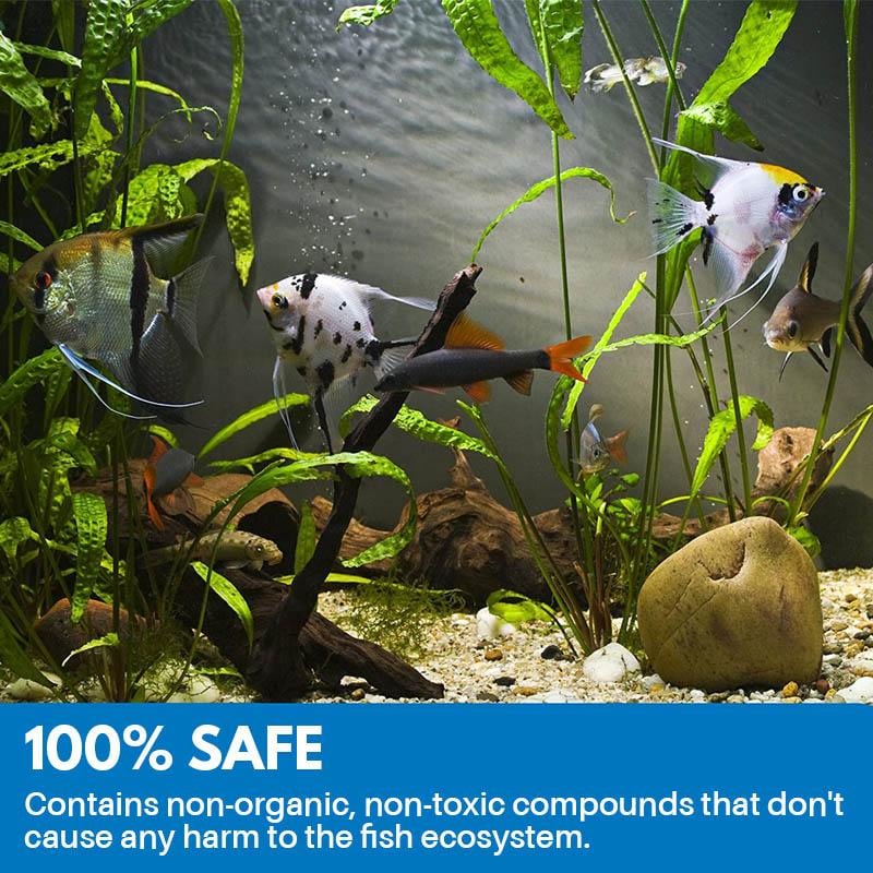 🐟Aquarium Purifying Powder
