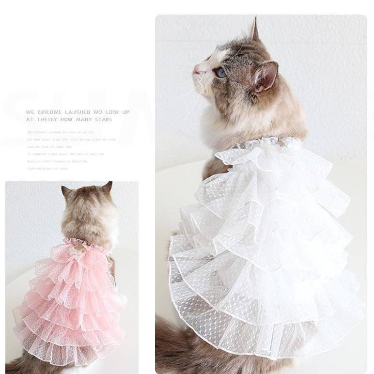 Star Printed Dog Cat Layered Lace Dress