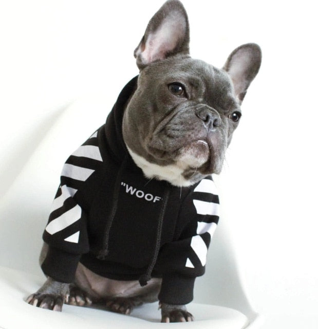 Striped Pattern Dog Hoodie