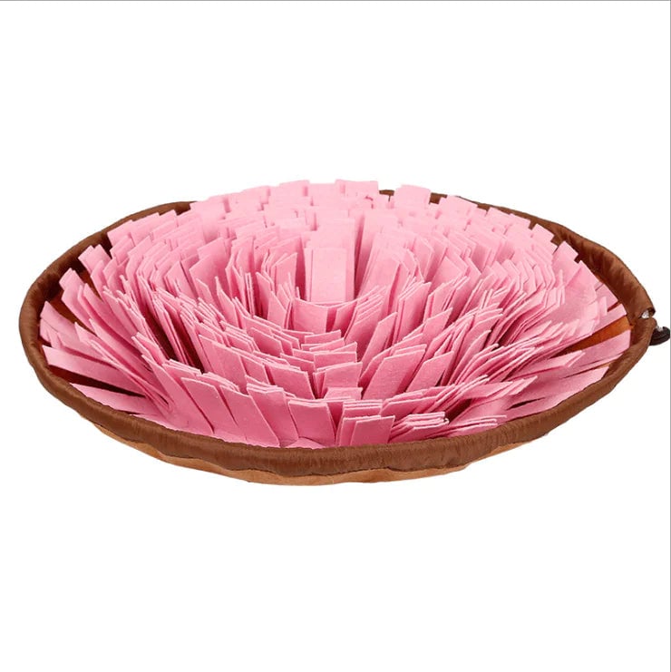 PawSmart Dog Snuffle Mat & Slow Feeder Bowl