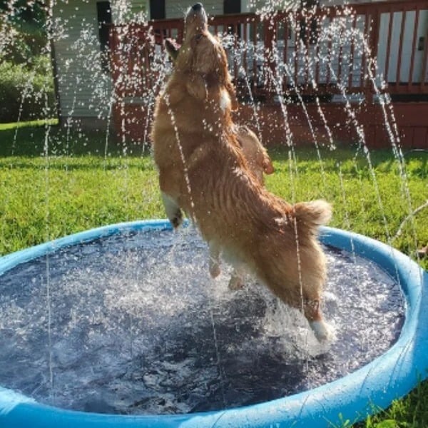 Summer Splash Pad for Kids and Pets-Buy 2 Free Shipping