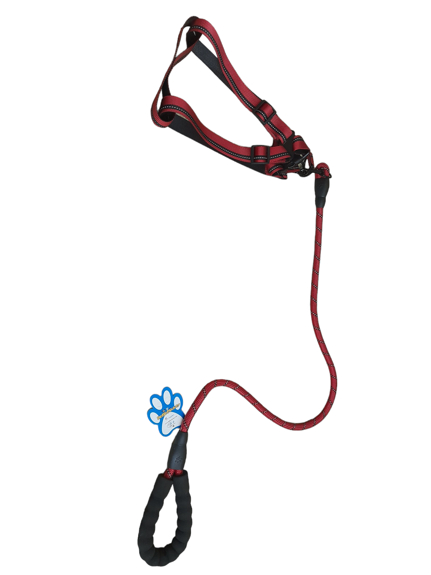 Dog leash + harness