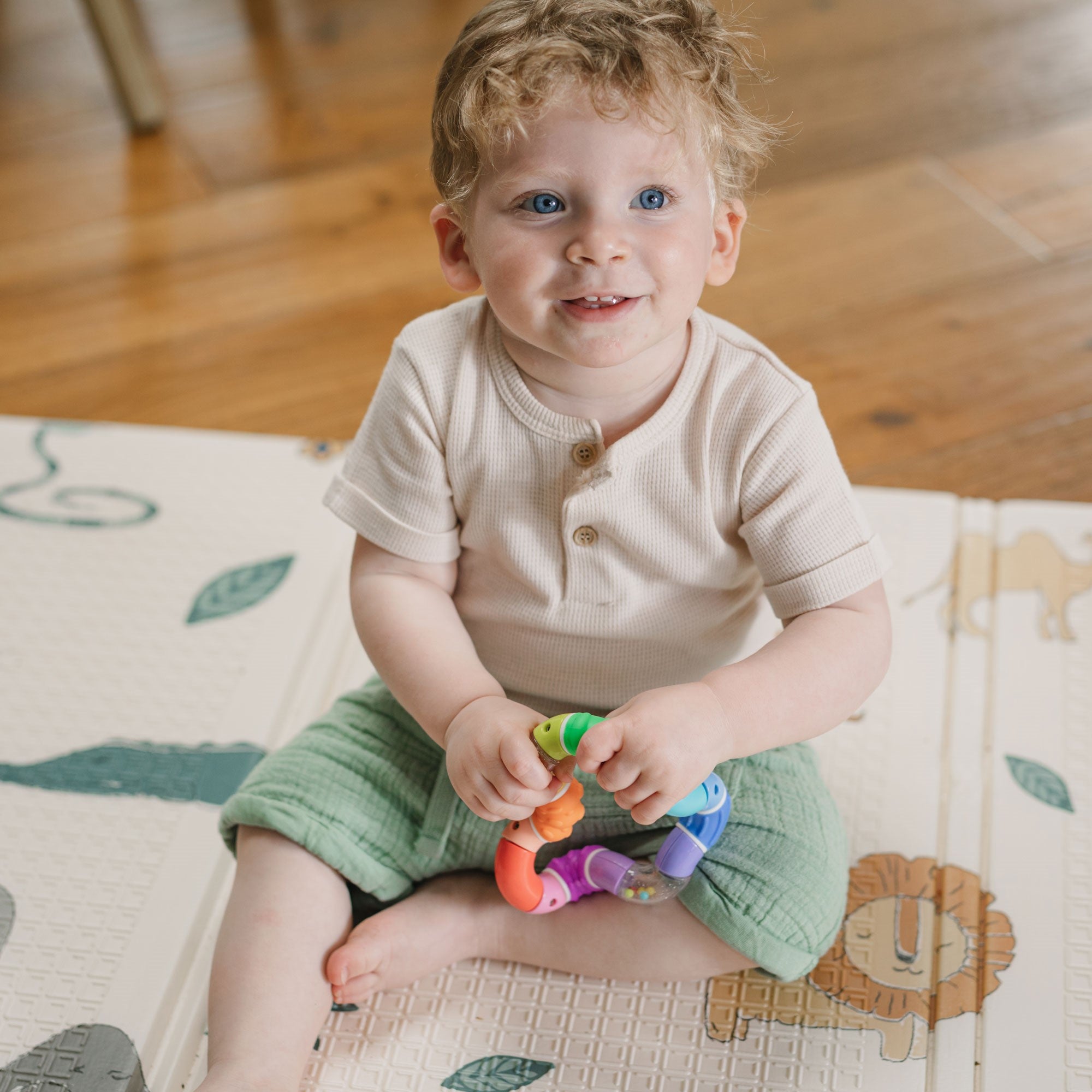 Twista Rattle Teether Toy