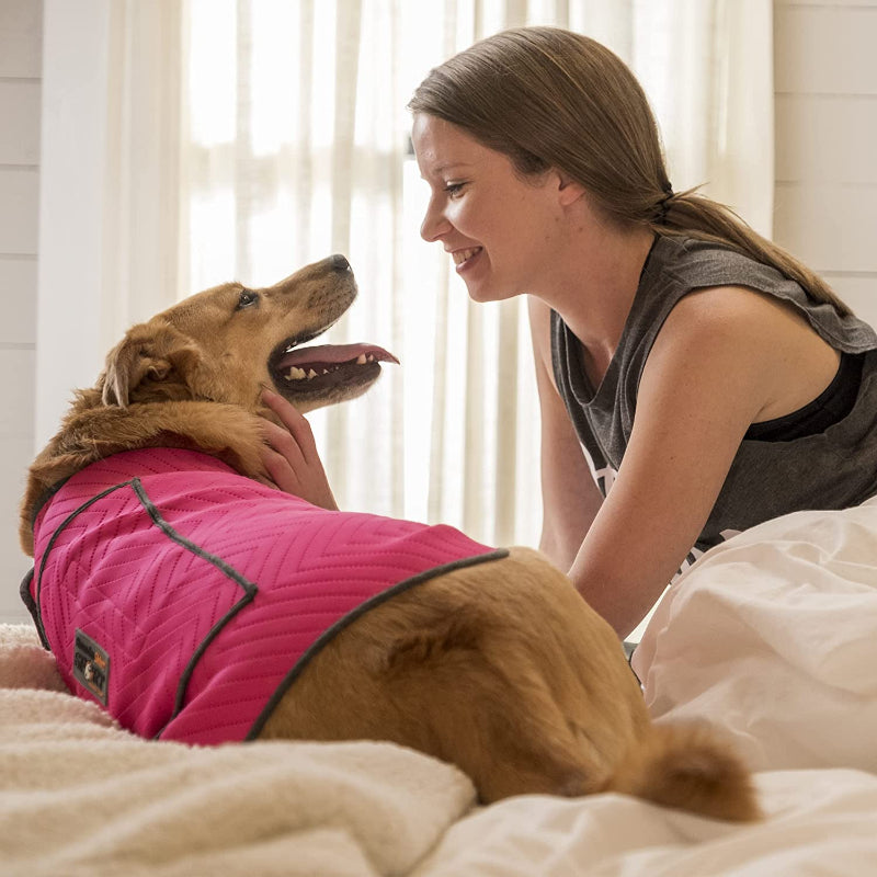 Sport Vest For Dogs