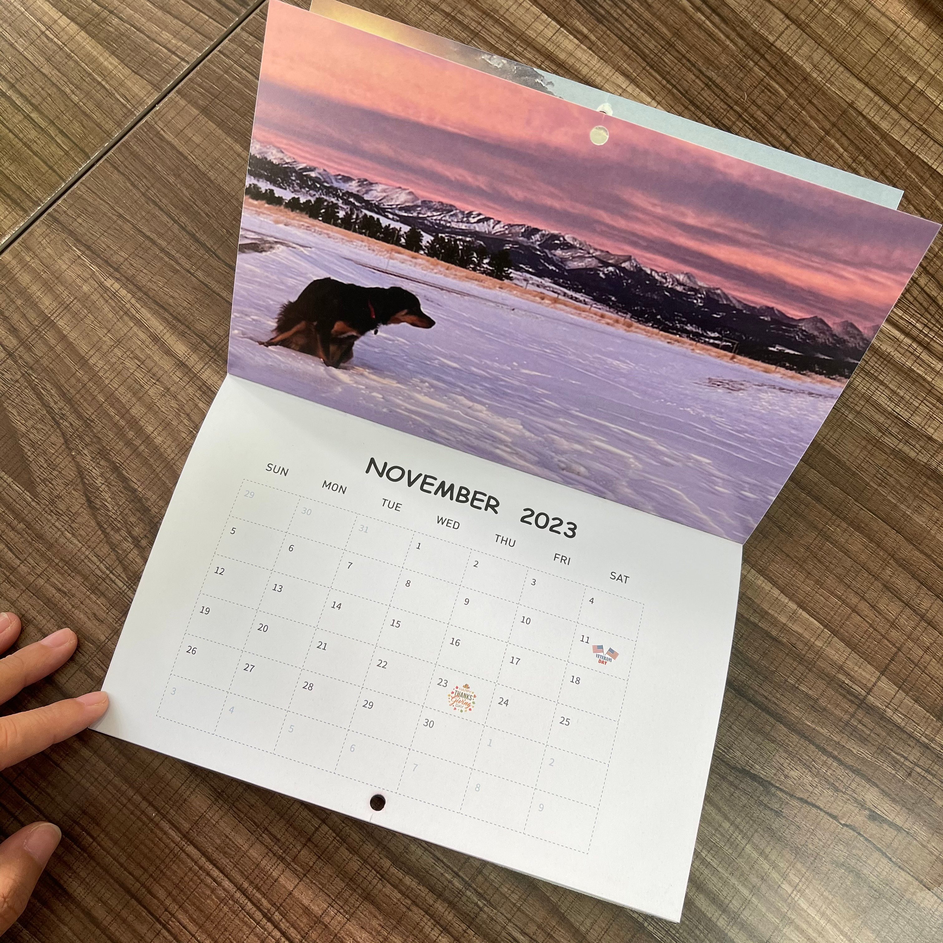 Funny Calendar Gift - Dog Poop Calendar