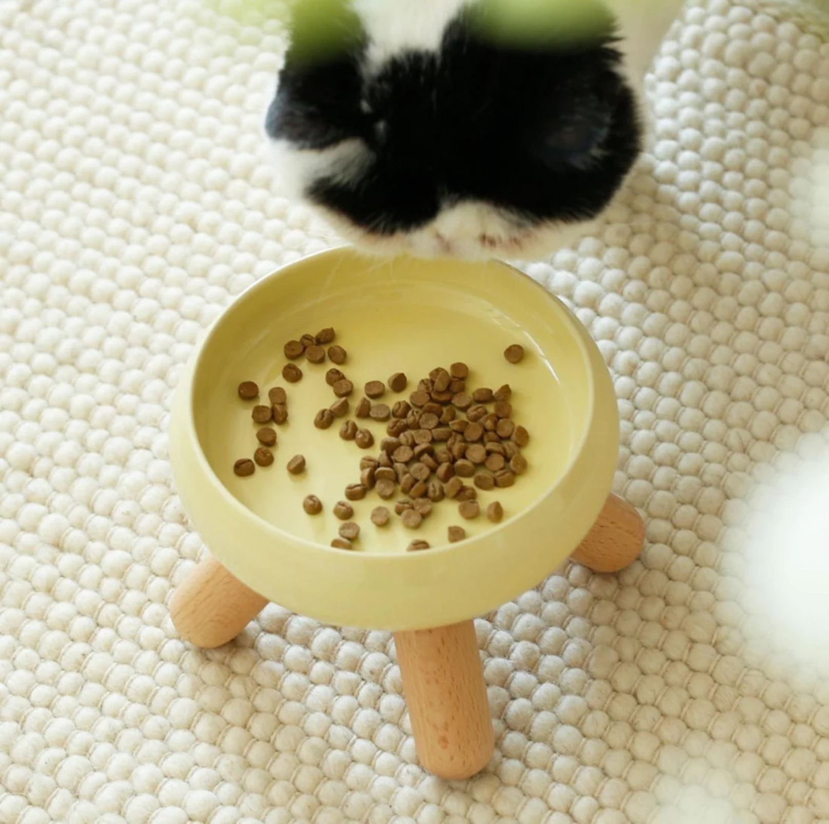 Gulu Ceramic Pet Food/Water Cat Bowls Small Dog Bowls with Wooden Stand