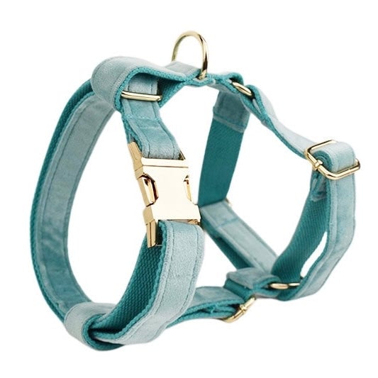Velvet Personalized Dog Harness Collar Leash