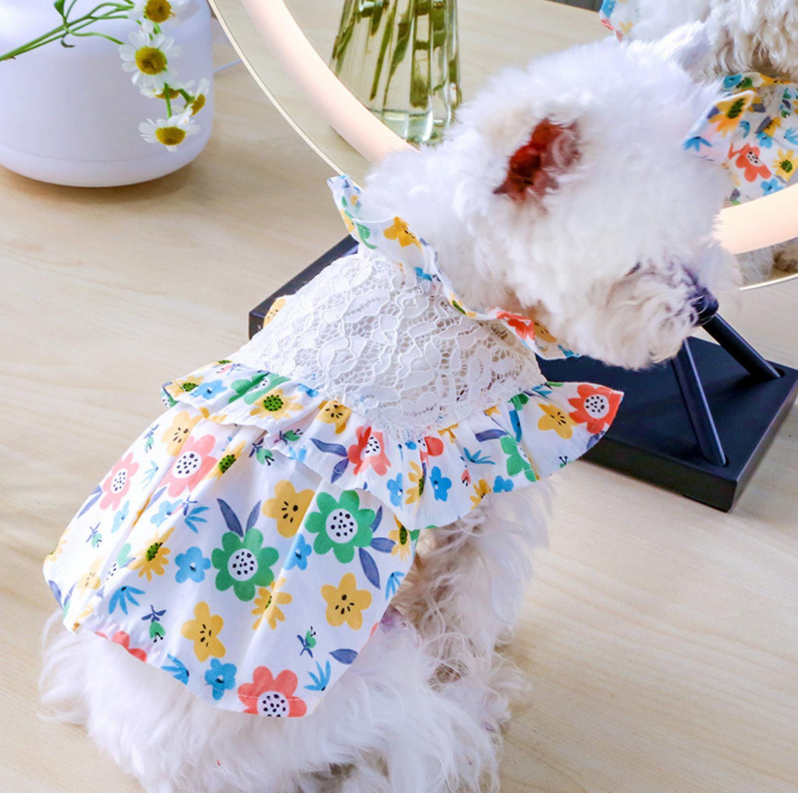 Pet Lace Flower Dress