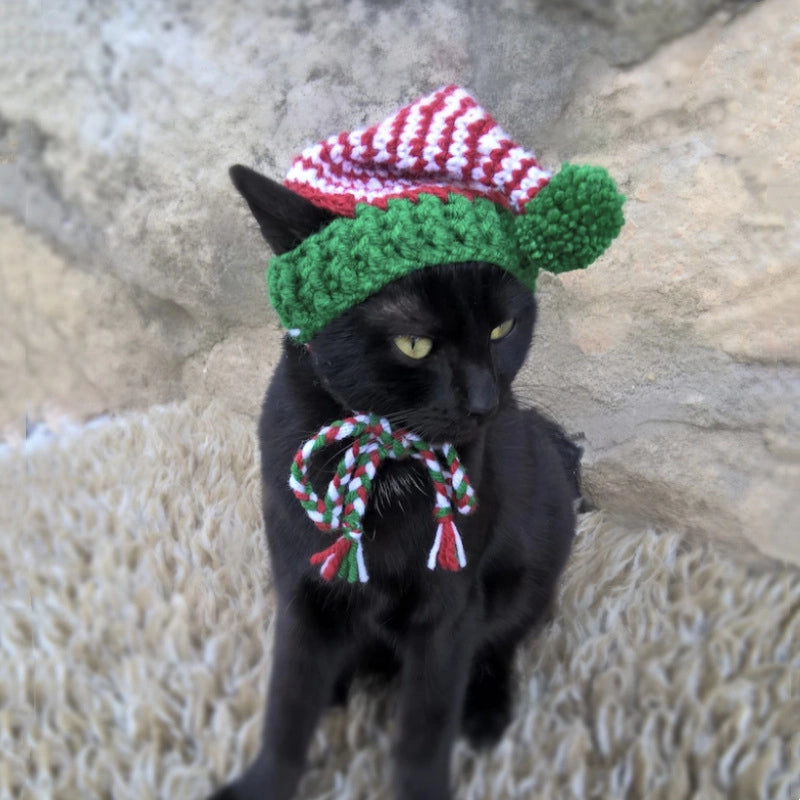 Cute Acrylic Frog Patchwork Pet Hat