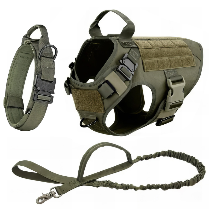 Vibrant Design Dog Harness With Accessories