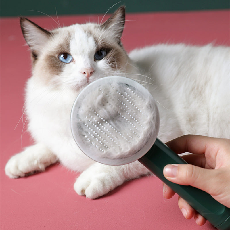 UV Disinfection Cat Groom