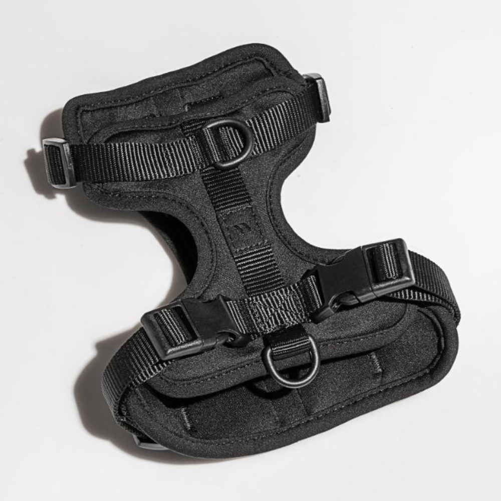 Wild One Dog Harness