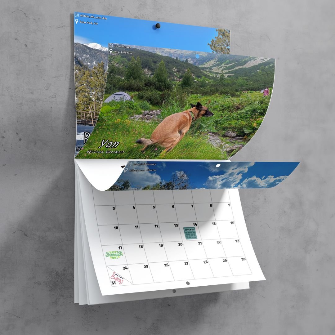 😆Funniest calendar of the century|Artistic expression of furry friends