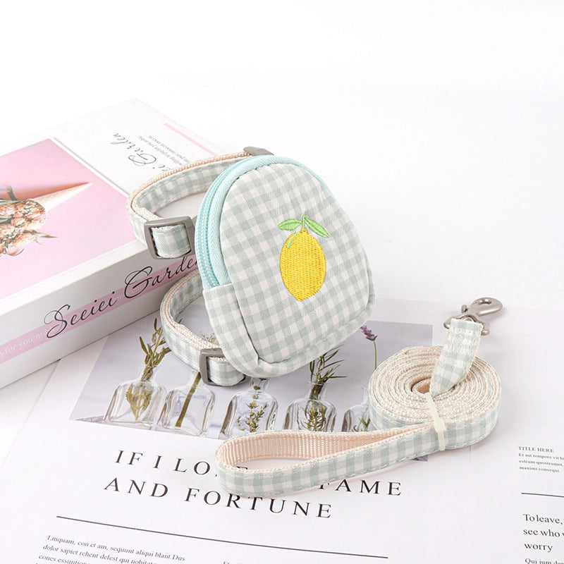 Minimalist Classic Style Polyester Color Block Leash