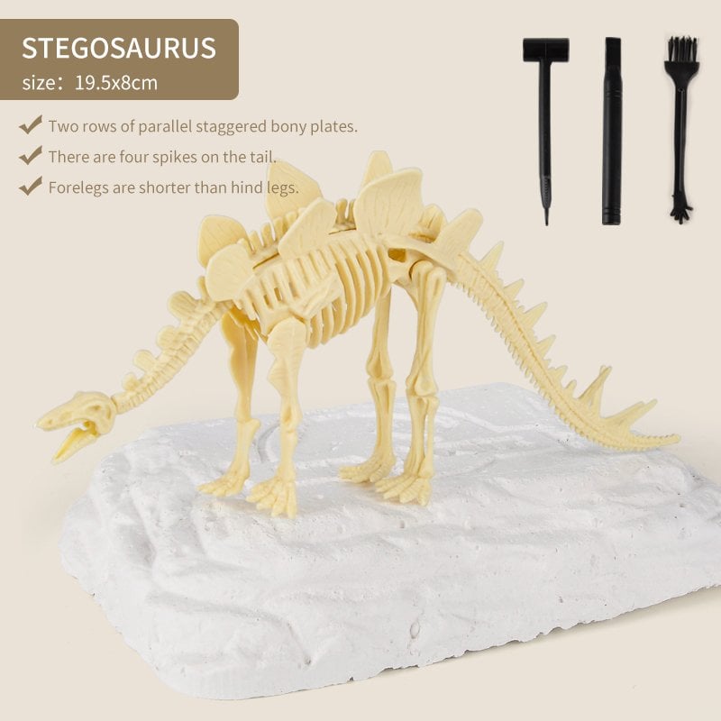 Great Educational Toy for Kids🎁2022 New Arrival Dinosaur Fossil Digging Kit - Get Three Tools For Free🔥