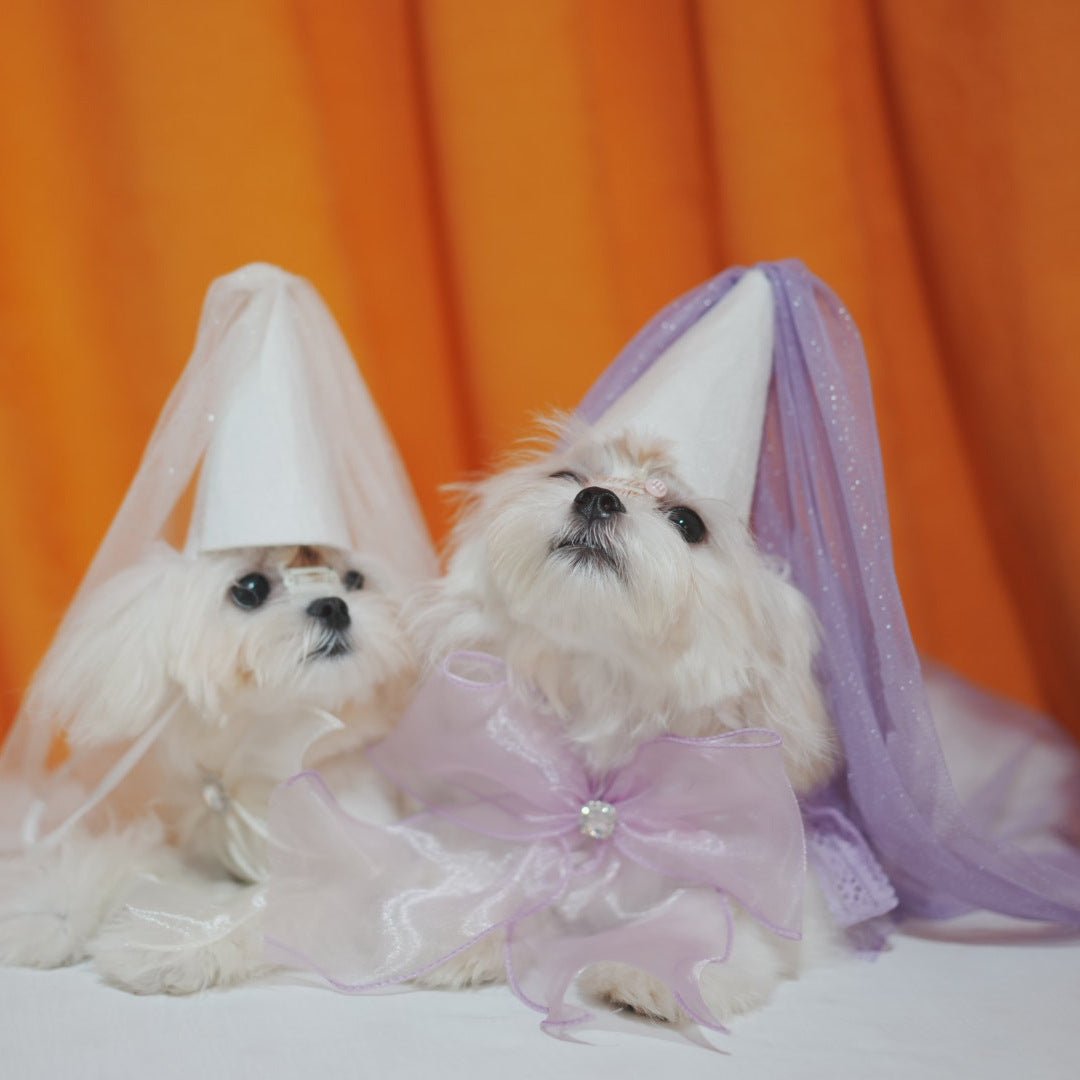 Party Lace Dog Cat Necklace&Hat Set