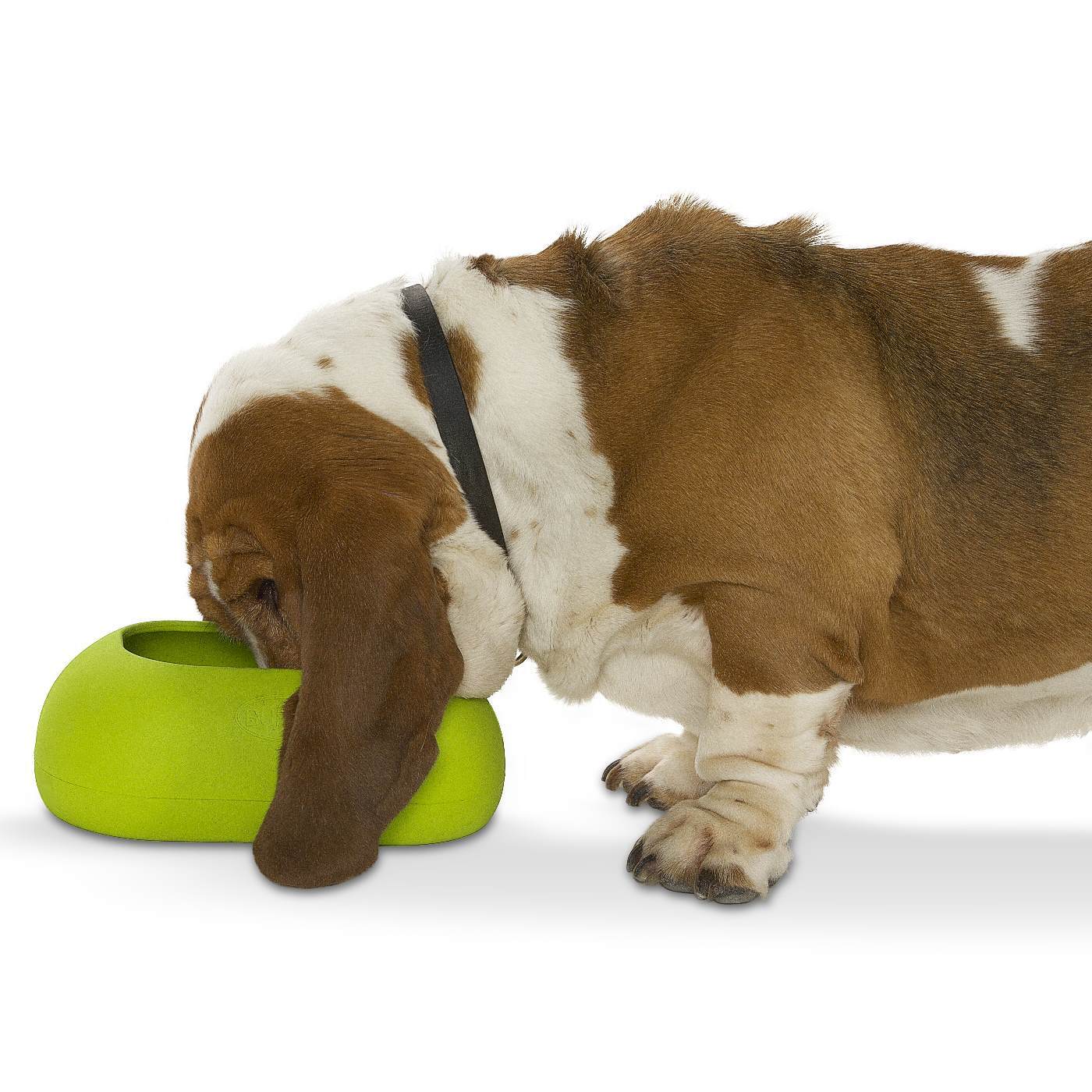 IncrediBowl Wet and Dry Food Bowl for Long Eared Dogs - Grey