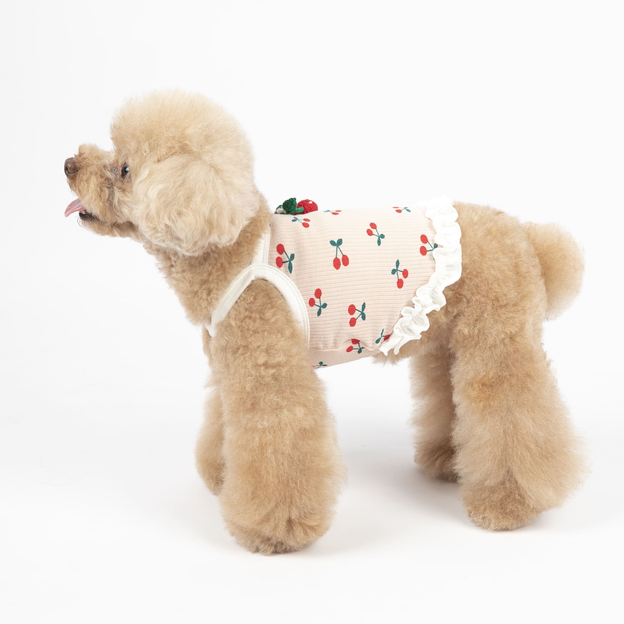 Sweet Cherry Decor Short Dog Cat Vest