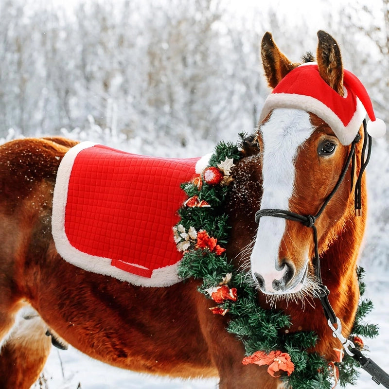 Velvet Christmas Solid Color Pet Clothing Pet Accessories