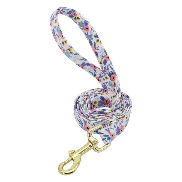Personalized Engraved Dog Collar With Leash