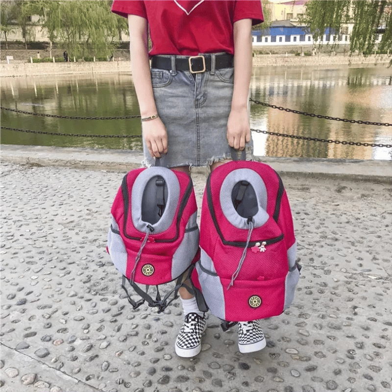 🔥2023 Dog Backpack